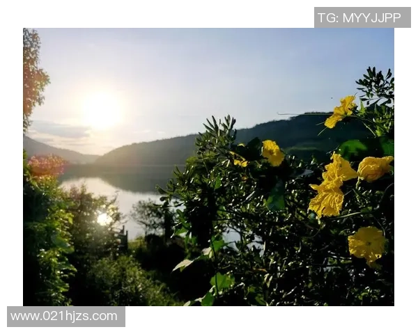 《探索QQ足球球星头像背后的个性与魅力，让你了解每位球员的独特风采》